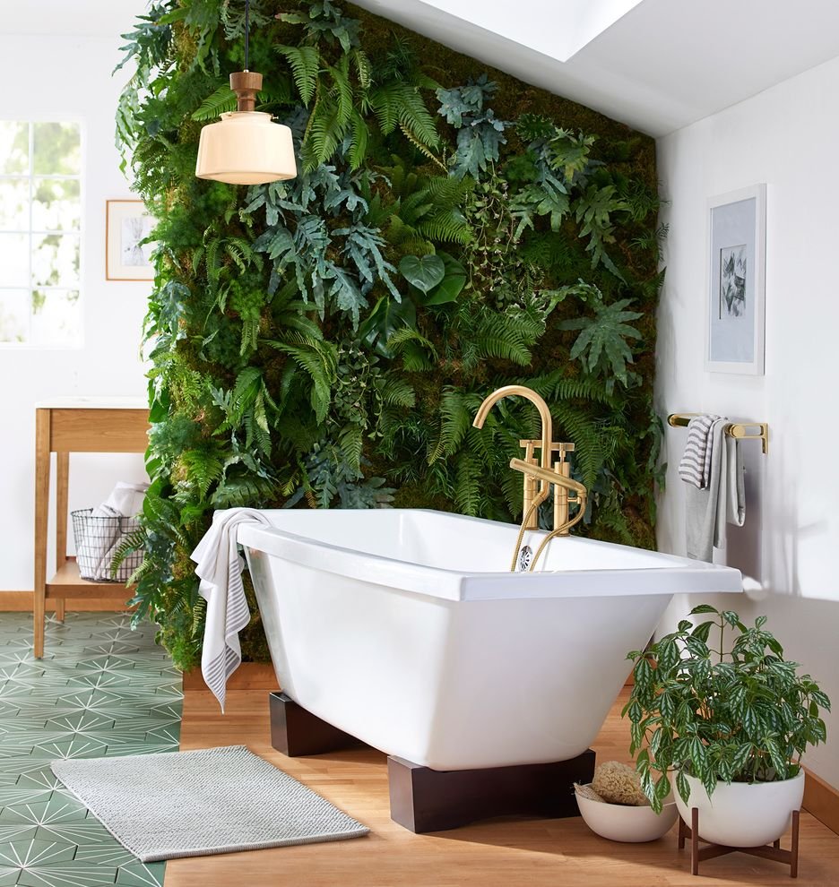 Комнатные растения в ванной комнате