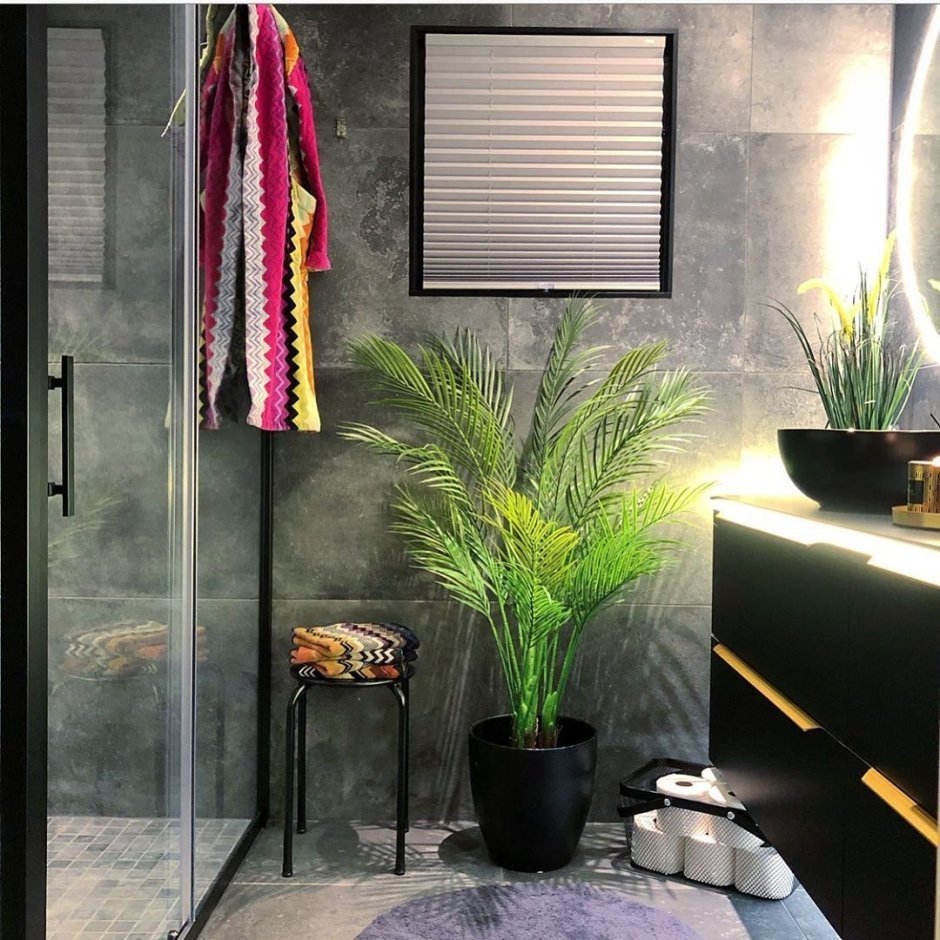 Комнатные растения в ванной
