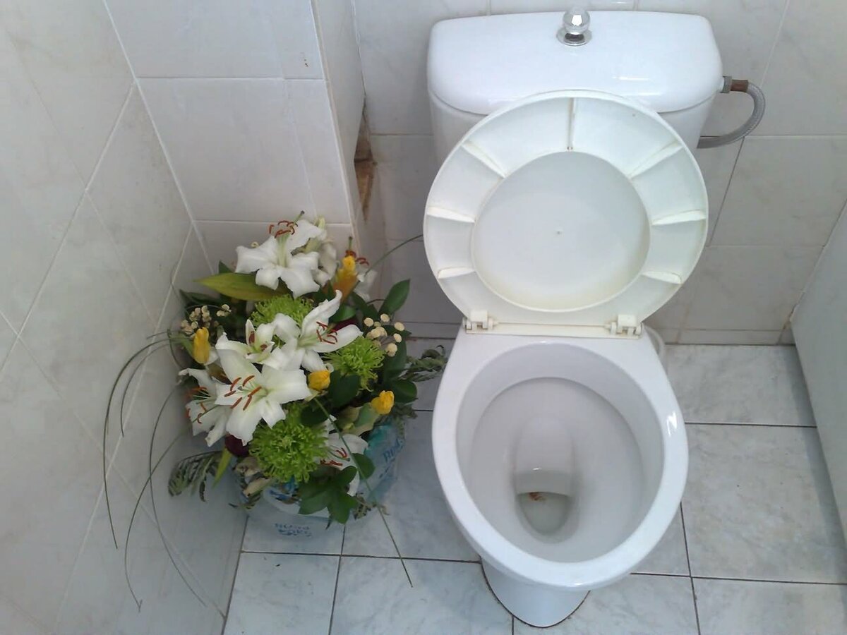 Цветы в унитазе