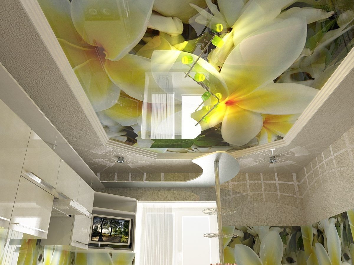 Шутерсток натяжные потолки