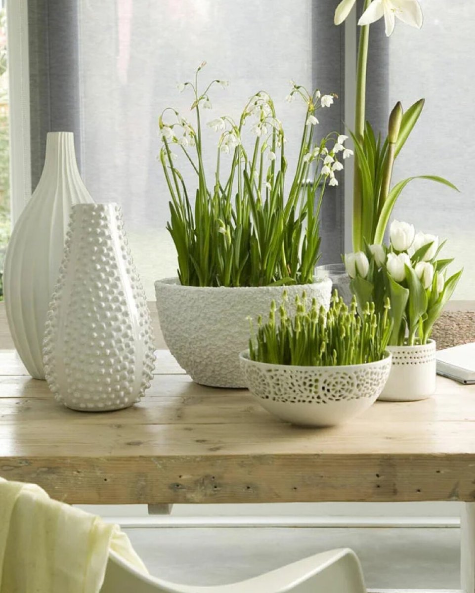 Цветы в интерьере