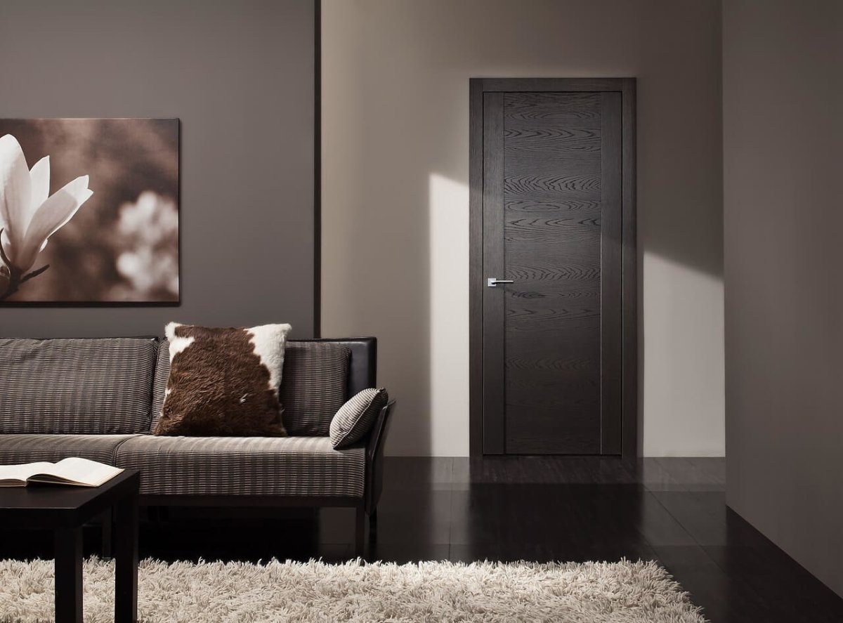 Темные двери в интерьере