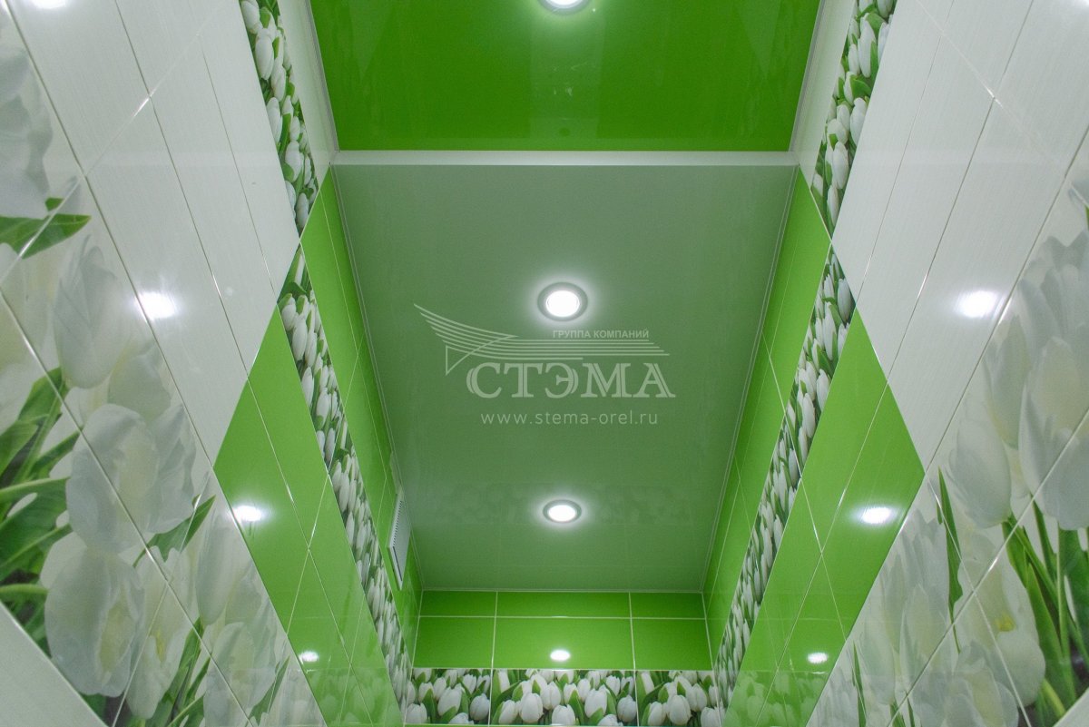 Натяжной потолок в туалете